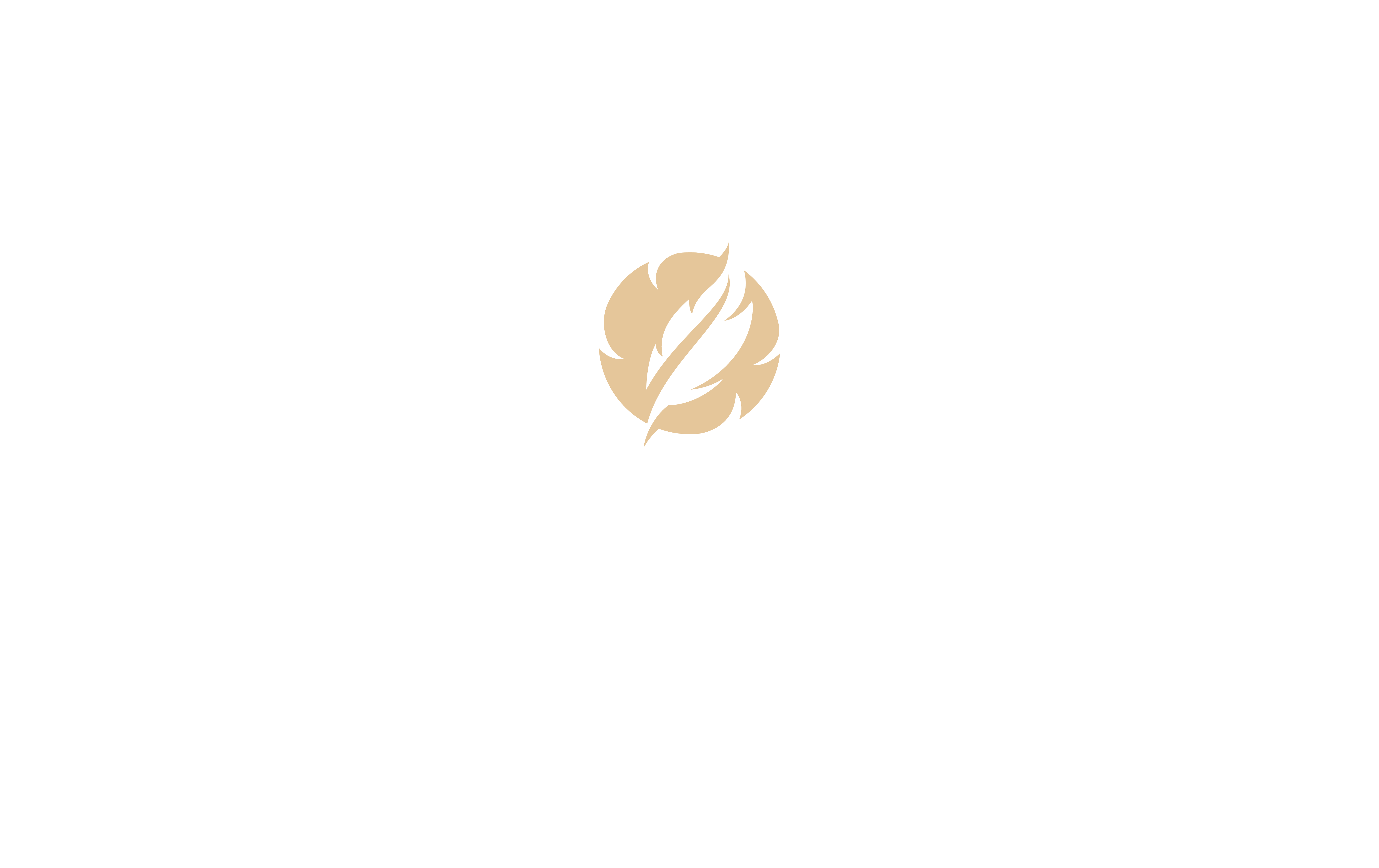 Lisa Custer Notary